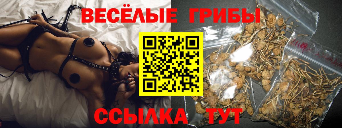 Псилоцибиновые грибы прущие грибы Ревда