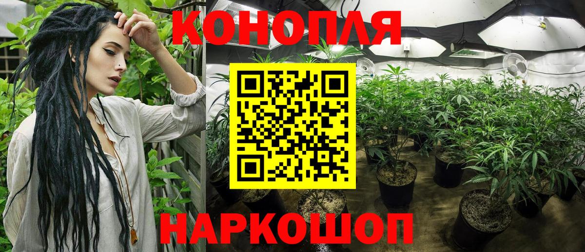 Конопля индика Ревда